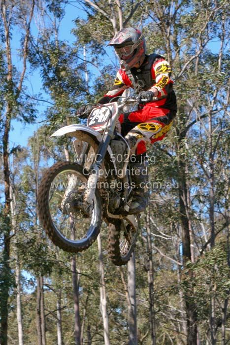 445x677 pixels (98K)